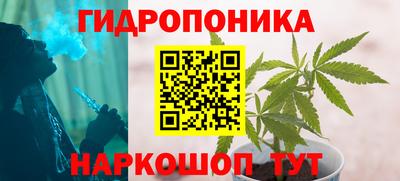 сатива Химки