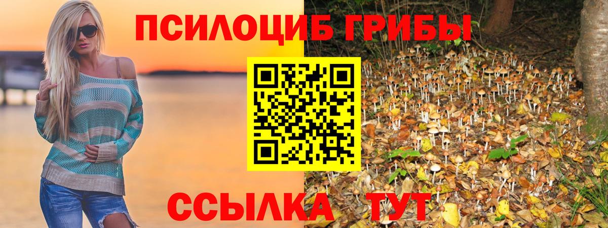 Галлюциногенные грибы ЛСД  Галлюциногенные грибы Magic Shrooms  Вход с VPN  Костомукша 